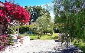 Bouganvilla